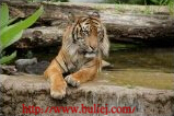 ҰiCC(j)DƬ֮124